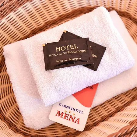 Hotel Mena